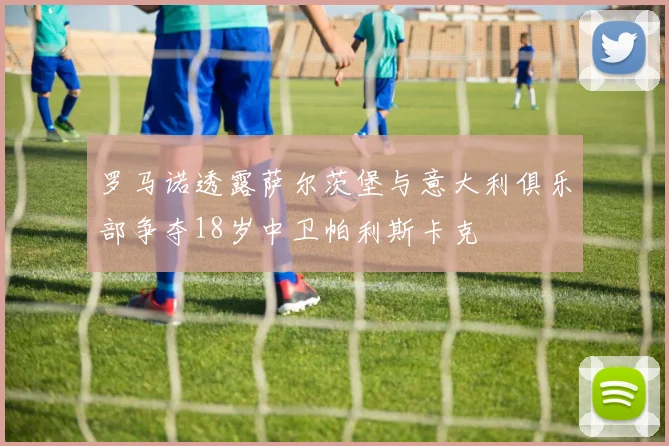 罗马诺透露萨尔茨堡与意大利俱乐部争夺18岁中卫帕利斯卡克