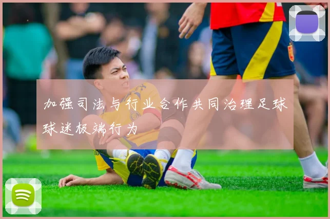 加强司法与行业合作共同治理足球球迷极端行为