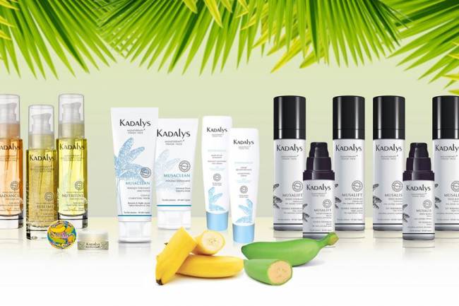 Une gamme de cosmétiques  bio qui à la banane 